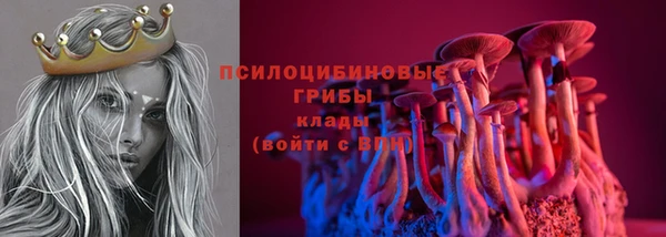 ГАЛЛЮЦИНОГЕННЫЕ ГРИБЫ Белокуриха