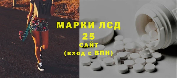 ГАЛЛЮЦИНОГЕННЫЕ ГРИБЫ Белокуриха