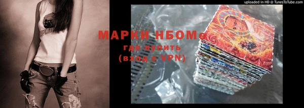 хмурый Богородск