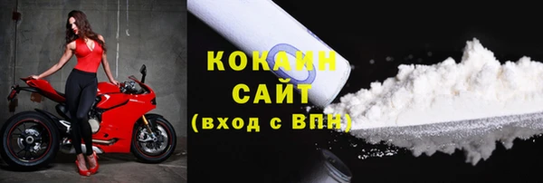 ГАЛЛЮЦИНОГЕННЫЕ ГРИБЫ Богданович