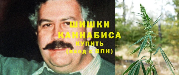 ГАЛЛЮЦИНОГЕННЫЕ ГРИБЫ Богданович