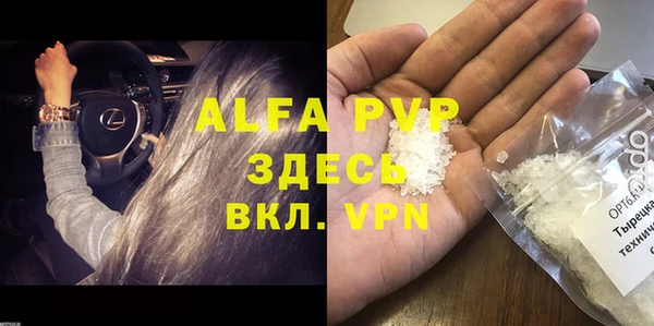 ГАЛЛЮЦИНОГЕННЫЕ ГРИБЫ Белокуриха