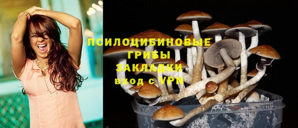 Альфа ПВП Богородицк