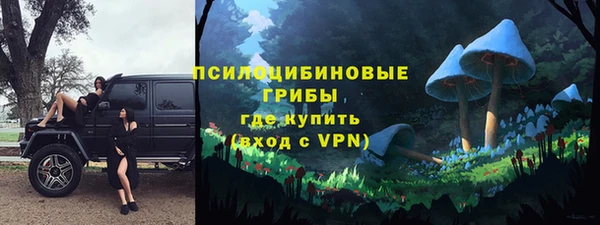Альфа ПВП Богородицк